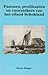 Pastoors, predikanten en vuurstokers van het eiland Schokland by Bruno Klappe
