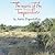 The Music of the Temporalists by André Pogoriloffsky
