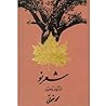 شعر نو از آغاز تا...
