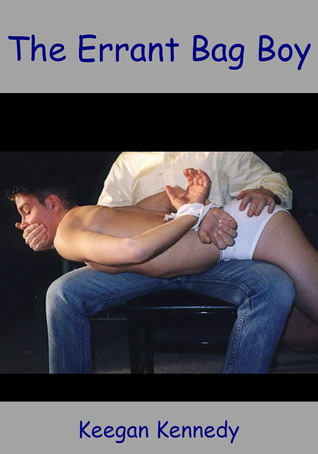 The Errant Bag Boy (ebook)