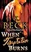 When Temptation Burns (The Shadow Keepers, #6)