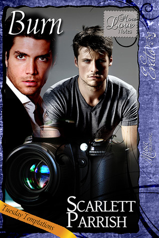Burn (Kindle Edition)