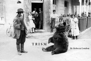 TRISM