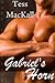 Gabriel's Horn (Gabriel's Ride, #0)