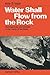 Water Shall Flow from the Rock by Arie S. Issar