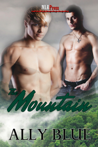 The Mountain (Paperback)