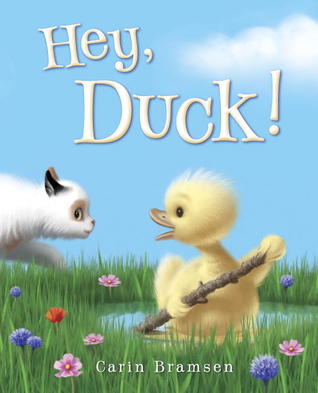 Hey, Duck! (Hardcover)