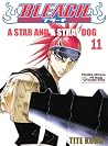 Bleach: A Star an...