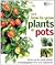 RHS How To Grow Plants In Pots
