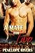 A Mate for Two by Penelope Rivers
