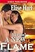 A New Flame (The Peak of Love #2)