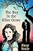 The Boy in the Olive Grove by Fleur Beale The Boy in the Olive Grove by Fleur Beale