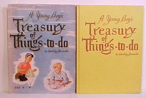 A Young Boy's Treasury of Things-to-do