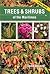 Trees & Shrubs of the Maritimes by Todd Boland