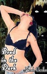 Bred in the Dark (Breeding Sex Story)