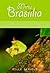 Minu Brasiilia. Sipelgajaht vihmametsas by Pille Gerhold