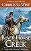Black Horse Creek