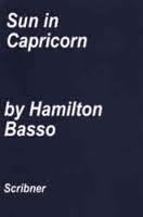 Sun in Capricorn