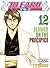 Bleach: Flower on the Precipice (Bleach, #12)