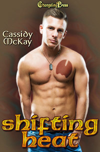 Shifting Heat (Protect and Serve, #16)