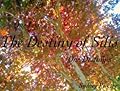 Destiny Of Silis