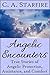 Angelic Encounters: True Stories of Angelic Protection, Assistance, and Comfort