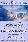 Angelic Encounters: True Stories of Angelic Protection, Assistance, and Comfort