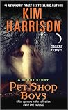 Pet Shop Boys: A Short Story