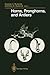 Horns, Pronghorns, and Antlers: Evolution, Morphology, Physiology, and Social Significance