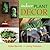 Indoor Plant Decor: The Des...