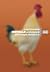 Novelle
