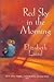 Red Sky in the Morning by Elizabeth Laird Red Sky in the Morning by Elizabeth Laird
