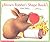 Brown Rabbit's Shape Book (Little Rabbit Books)