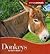 Donkeys (Animals Animals)