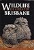 Wildlife of Greater Brisbane