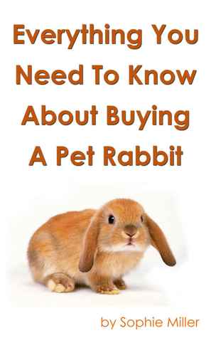 Everything You Need To Know About Bying a Pet Rabbit