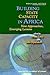 Building State Capacity in Africa (WBI Development Studies)