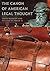 The Canon of American Legal Thought by David   Kennedy