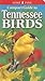 Compact Guide to Tennessee Birds