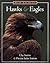 How to Spot Hawks & Eagles by Clay Sutton