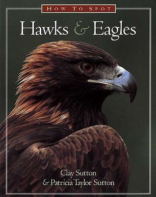 How to Spot Hawks & Eagles (Paperback)