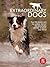 Extraordinary Dogs
