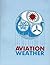 Aviation Weather by Federal Aviation Administra...