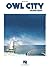 Owl City - Ocean Eyes Piano...