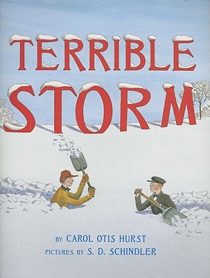Terrible Storm (Hardcover)