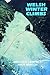 Welsh Winter Climbs