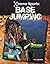 Base Jumping (Xtreme Sports)