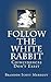 Follow The White Rabbit