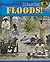 Floods (Eyewitness Disaster)