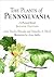 The Plants of Pennsylvania:...